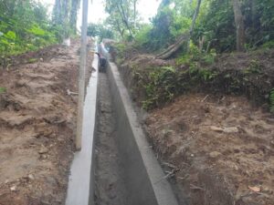 WhatsApp Image 2025-02-03 at 12.18.12